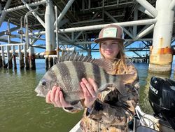 Sheepshead catch displayed under Gulf Shores AL fishing pier