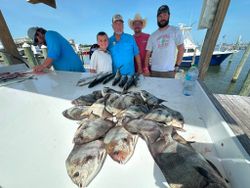 Successful fishing trip in Gulf Shores AL showing large catch of spadefish and other species displayed on boat deck
