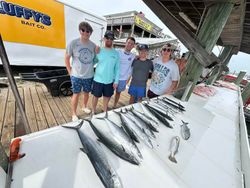 Spanish mackerel fishing catch displayed on dock in Gulf Shores AL