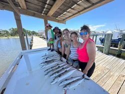 Fresh caught Spanish Mackerel displayed on cleaning table at Gulf Shores AL fishing dock