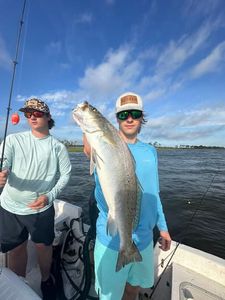 Speckled trout catch on fishing boat in Gulf Shores AL waters