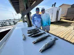 Speckled trout fishing catch displayed on boat dock in Gulf Shores AL