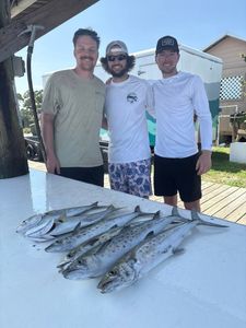 2 huge fishing in AL