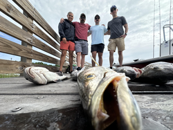 Nice catch using deep sea and drift fishing techniques in Gulf Shores!