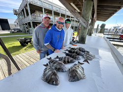 Looks like a successful day of fishing at the dockside.