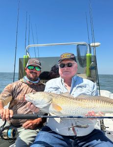 Redfish, 23-inch, fishing in Gulf Shores