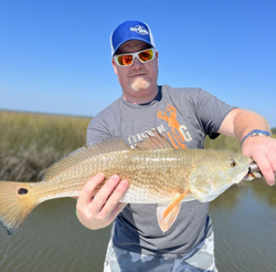 A redfish caught in AL while fishing