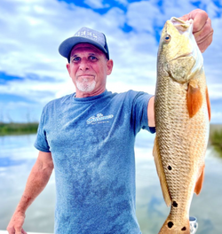 Redfish caught in AL