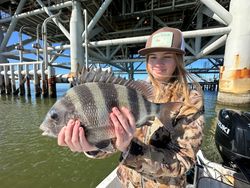 Sheepshead fish caught while fishing in Gulf Shores