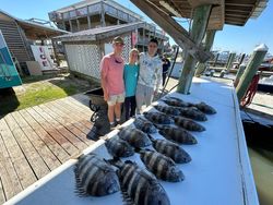 Sheepshead fish caught fishing in AL