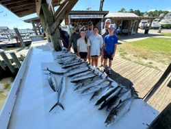 Trio of Spanish Mackerel caught in the Gulf Shores