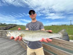 Spotted Weakfish caught while fishing in AL