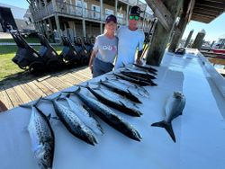 4 fish caught while fishing in AL
