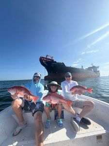 Two-spot red snapper fish, 3 of them, caught during fishing in AL