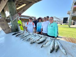 Three King Mackerel fish caught during fishing trip in AL