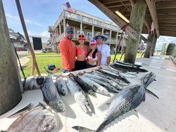 Three little tunny and wahoo fish caught while fishing in Gulf Shores