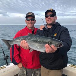 Chinook salmon caught by two people in Oswego