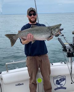 Chinook Salmon caught fishing in NY