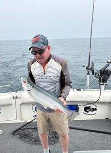 Chinook salmon caught while fishing in NY