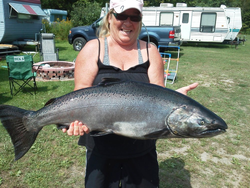 Chinook Salmon catch by angler in Oswego