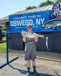 2 Coho Salmon, fishing in NY