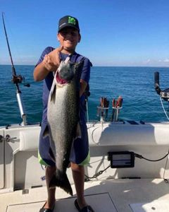 Coho Salmon caught by angler in Oswego