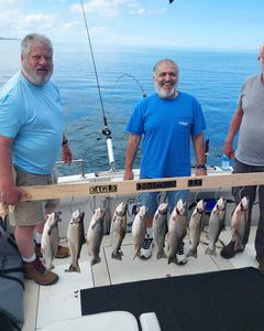 10 rainbow trout caught while fishing in NY