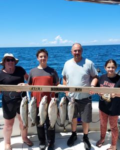 Five rainbow trout caught in Oswego