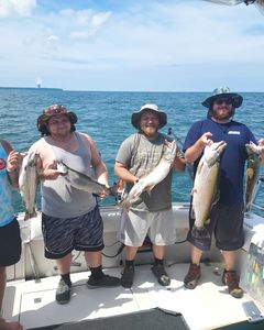 Four rainbow trout caught in NY
