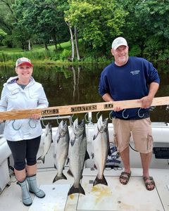 4 rainbow trout and chinook salmon caught in Oswego