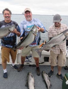 5 pink salmon caught in NY