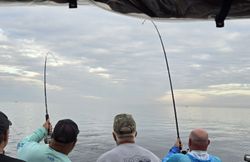 Breathtaking landscape of New York City