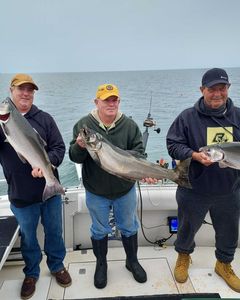 Three chinook salmon fishing in NY