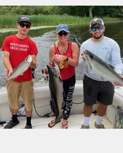 3 big fish caught while fishing in NY