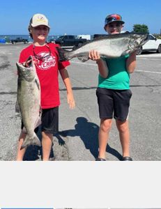 Two rainbow trout and chinook salmon in a fishing scene in NY