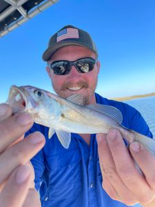 One person fishing in MS