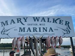 9 fish caught during cruises and fishing trip in MS