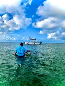 Breathtaking cruises and fishing adventures on the Mississippi River