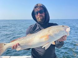 Redfish caught on cruises and fishing trip in Mississippi