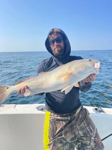 Redfish caught in Mississippi