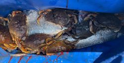 Best great fishing in oregon