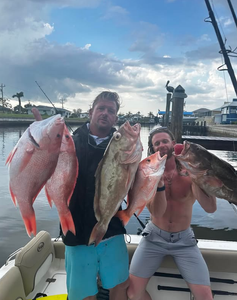 5 big fish caught during cruises, fishing, and tours in FL