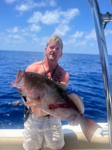 Barred Sand Bass caught during cruises, fishing, and tours in FL