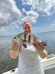 Black drum catch displayed on fishing charter boat in Matlacha FL waters