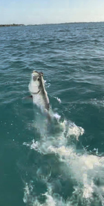 Scenic coastal view in FL featuring cruises, fishing, and tours