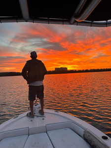 Boats on the water in FL, offering cruises, fishing, and tours