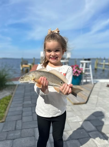 Exciting cruising, fishing, and touring in FL