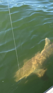 Stunning aerial view of Florida coastline during fishing cruises and tours