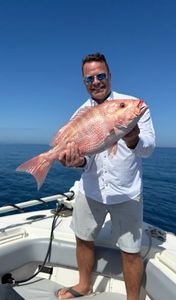 Red snapper fishing catch in Matlacha FL waters