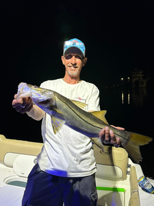 Snook fish caught in Matlacha, Florida by person fishing on cruises, tours, and fishing trips.